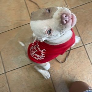 Meet your Posher, Tajiyanna